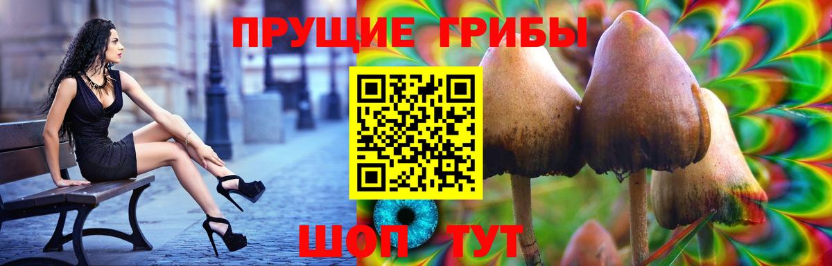 Галлюциногенные грибы мухоморы  Галлюциногенные грибы GOLDEN TEACHER  Вход с VPN  Черкесск 